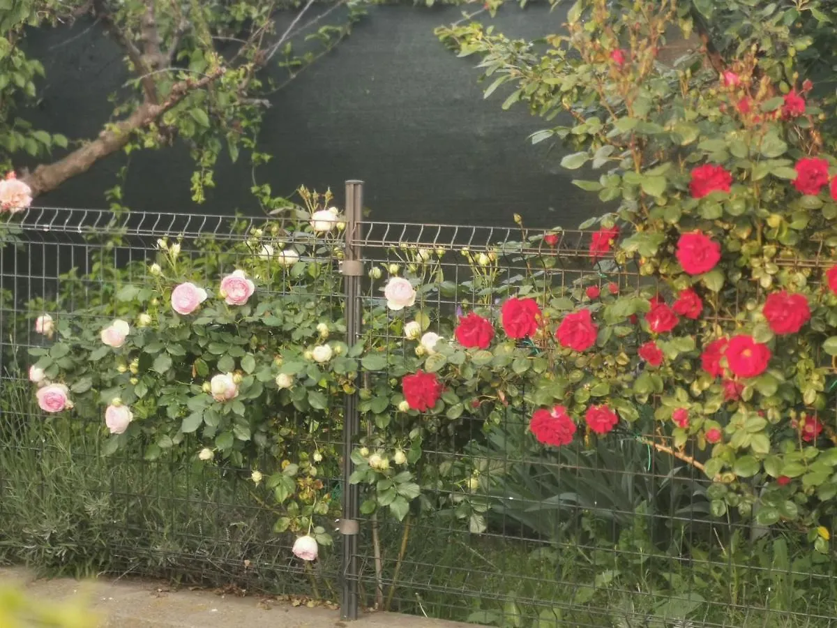 Bed and Breakfast R&B Il Melograno Formigine 3*,  Italien